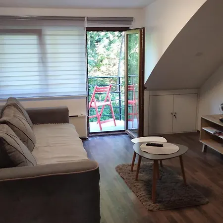Radenkovic Apartamento *